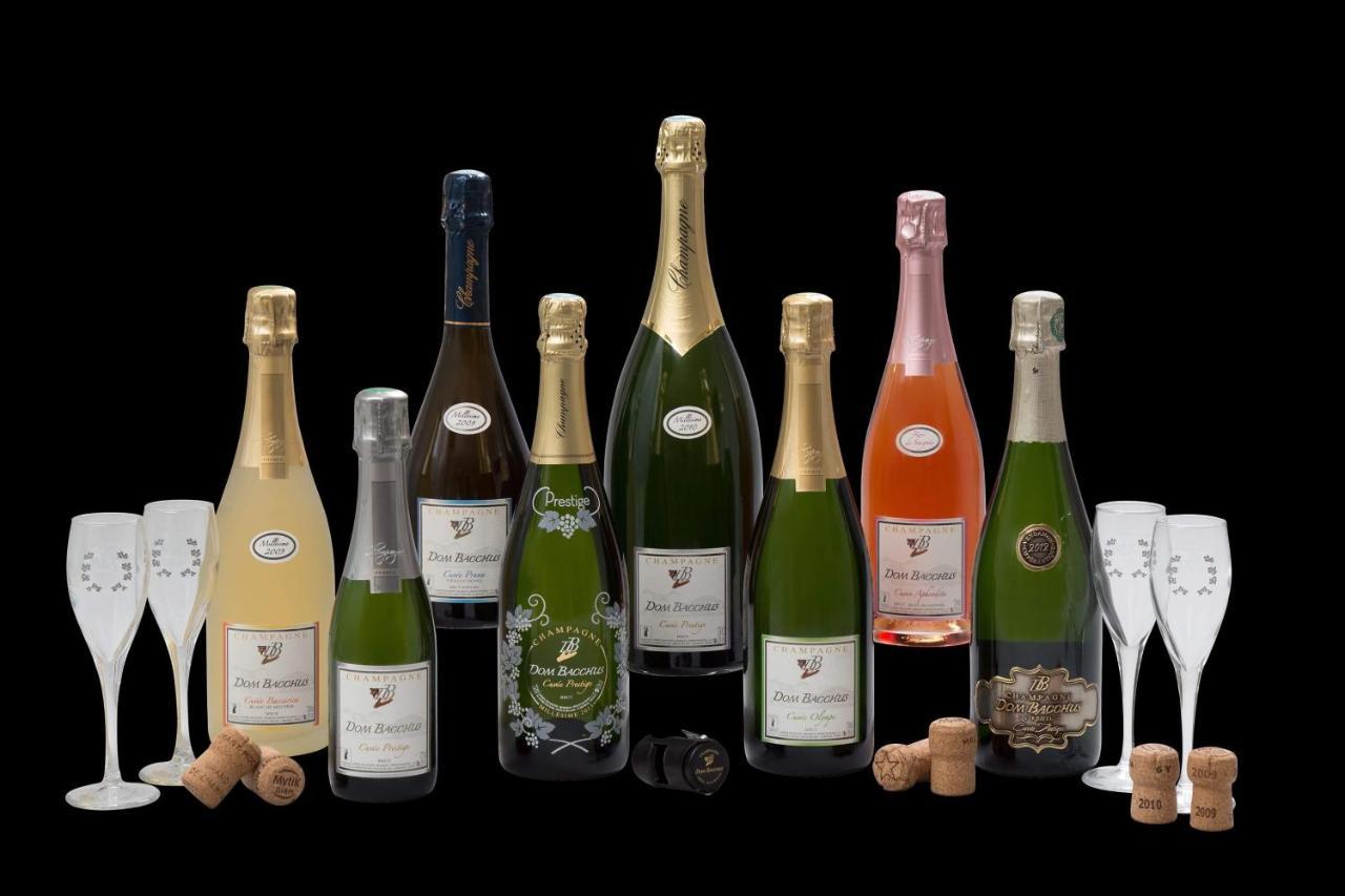 Domaine Bacchus Reuil-sur-Marne Exterior photo