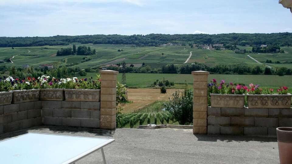 Domaine Bacchus Reuil-sur-Marne Exterior photo