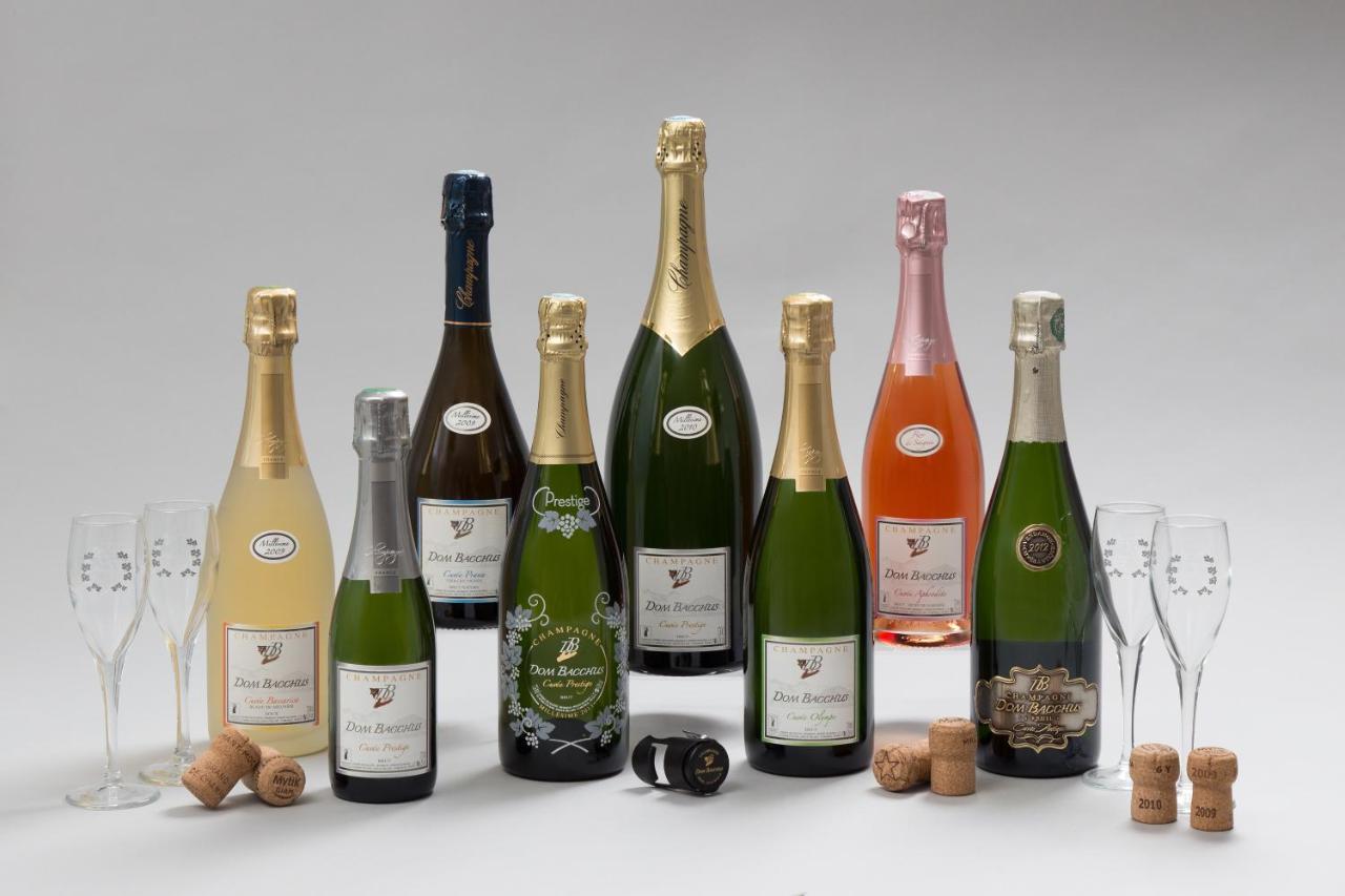 Domaine Bacchus Reuil-sur-Marne Exterior photo