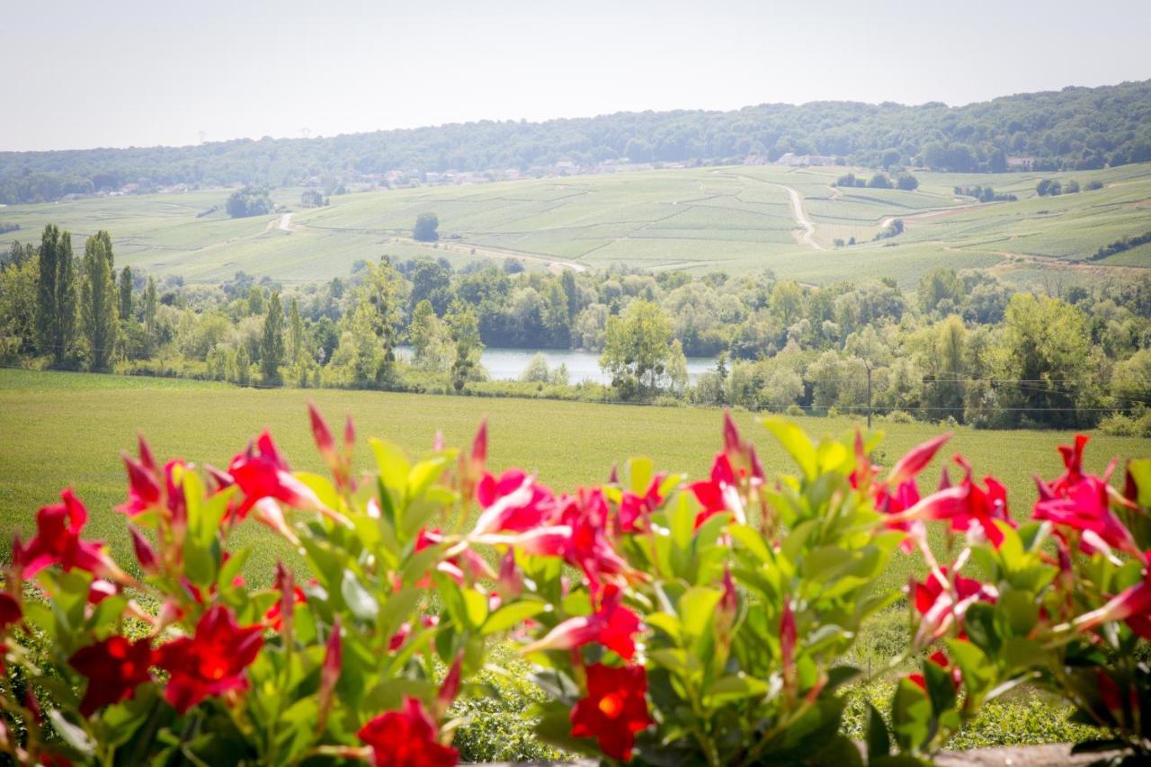 Domaine Bacchus Reuil-sur-Marne Exterior photo